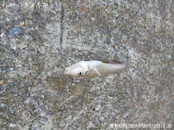 㥳