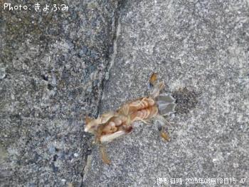 㥳