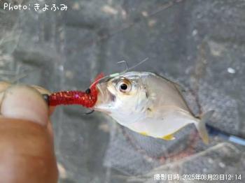 メッキ