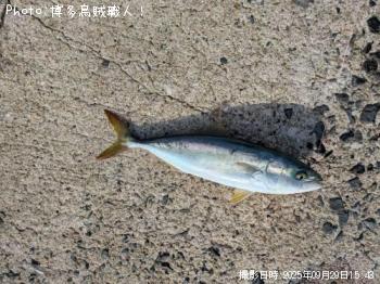 䥺