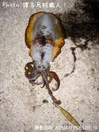 �����ꥤ��