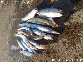 ���ޥ�������������ޥ��亮