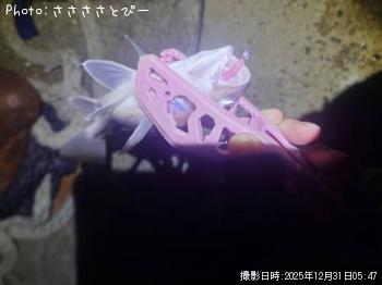 ¥«¥Þ¥¹¡õ¥¤¥·¥â¥Á¡õ¥Þ¥¤¥ï¥·