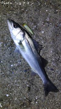 �����Х�