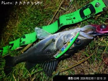 �����Х�