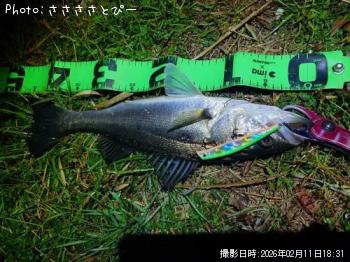 �����Х�