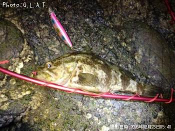 ¥¿¥±¥Î¥³¥á¥Ð¥ë