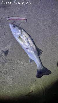 �����Х�