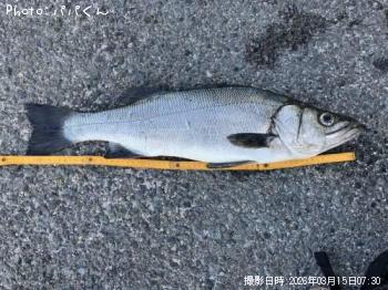 �ҥ饹����