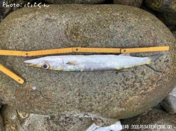 ������󥫥ޥ�