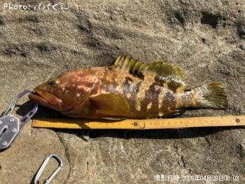 �����ϥ�