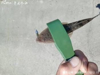 �ޥ���