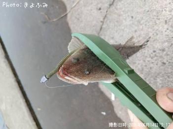 �ޥ���