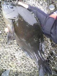 �����᥸��