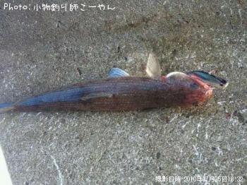 エソ
