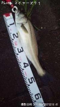 Х