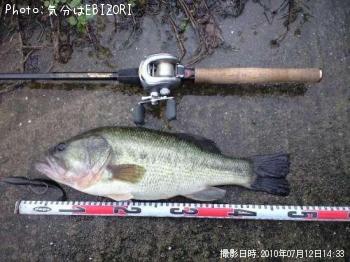 ブラックバス