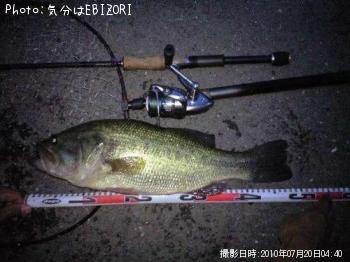 ブラックバス
