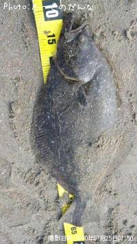 ҥ