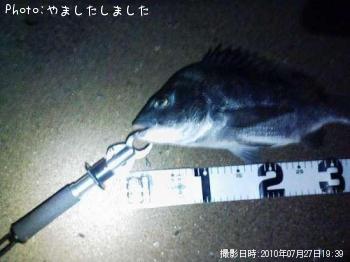 チヌ
