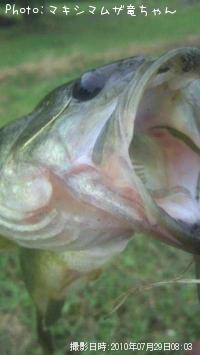 ֥åХ