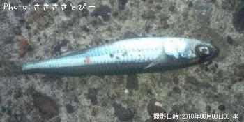 亮