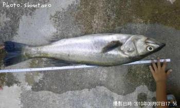 Х