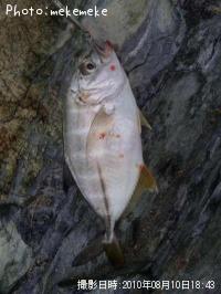 å