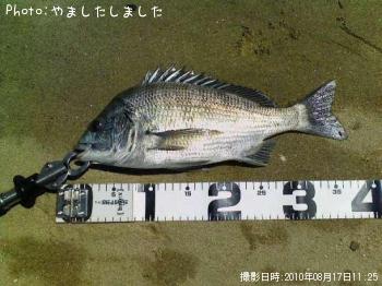 チヌ