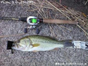 ブラックバス