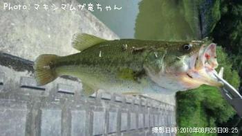 ֥åХ