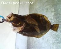ҥ