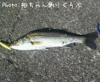 Х