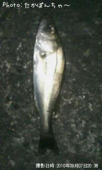 Х