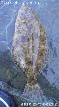 ҥ