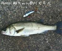 Х