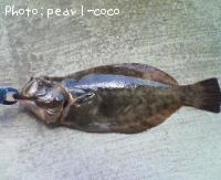 ҥ