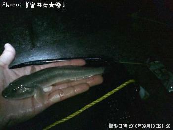 ハゼ