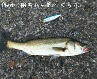 Х