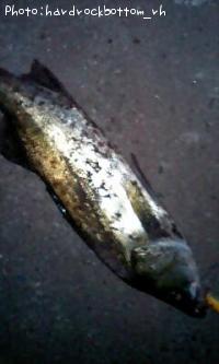 Х