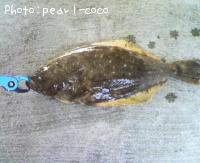 ҥ