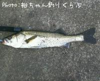 Х