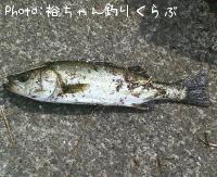 Х