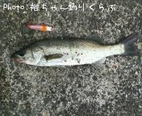 Х
