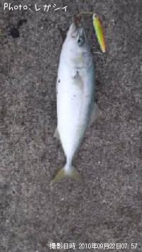 ʥ
