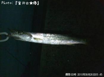 カマス