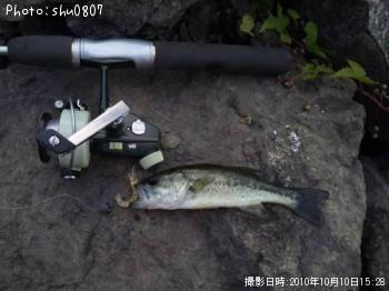 ブラックバス