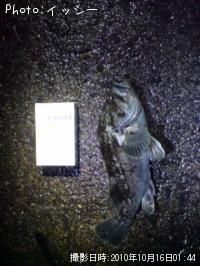 クロソイ