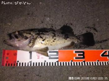 クロソイ