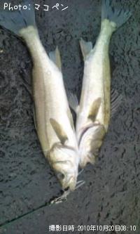 Х